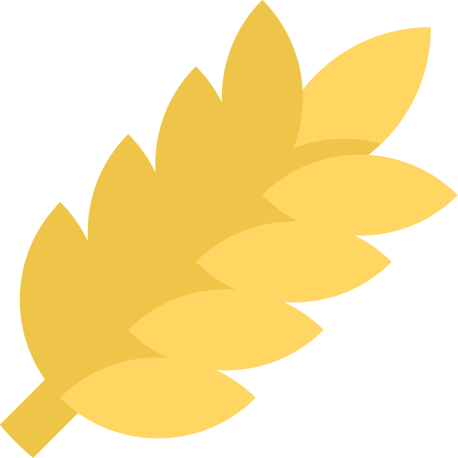 Rice image