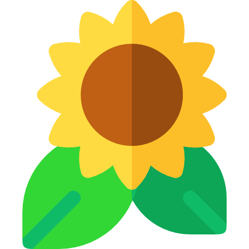 Sunflower image