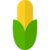Sustainability 20 corn