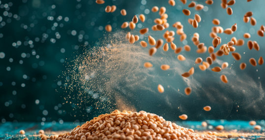 Ingredients 5 fava bean protein